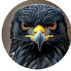 name_ahmad4333