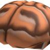brian_brain67