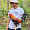 batandurengamefarm