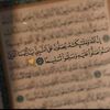 karma.ahmed519