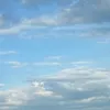 binvh40