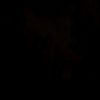 zinneb._