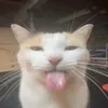 pepperagent78