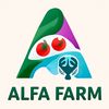 alfa_rain