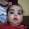 webshetewnetu