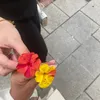 hayataythmida1
