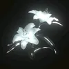 moon.light._69