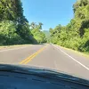 eljardinderita