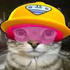 jeanguy870