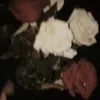 nesrinlw