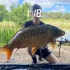 carper_lad