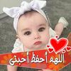 mahmoud.djellouli