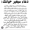 khaled.hussein4