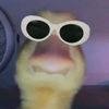 maxgoodwin64