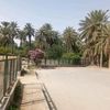 khouloudabdeljawe1