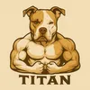 nando0titan