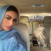 justnajdeh