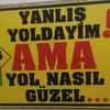 gulendam6931