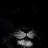 ..youmister