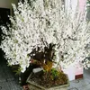 LAI CHÂU 99