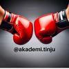 akademi.tinju
