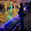 mimi0288_