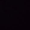 benni_vin