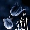 user6877248473976