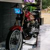 rx.king.bundo