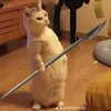 hieudz299