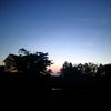 trex_muhajir21