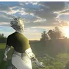thehonored0neheron