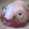 squishy_liquid