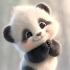 mr.pandababy.lk