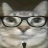 gatau_malessz