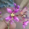 user8613149860691