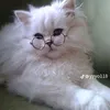 nicole_lovesjesus2