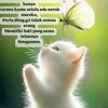 maesaroh_nurazizah
