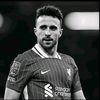 Fan Manchester City
