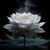 bch.nguyn318