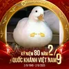 nguyenphnganh916