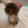 anna_love567