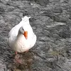 mariosgeo18
