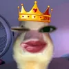 qnnhoa12