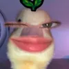 qhmdtlam_7