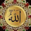 jannatul.ferdous671