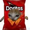 doritoswhynot