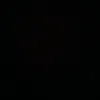 gulle_1449