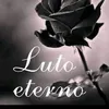 pamelaalves3737