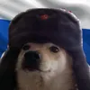 angelikabalkus